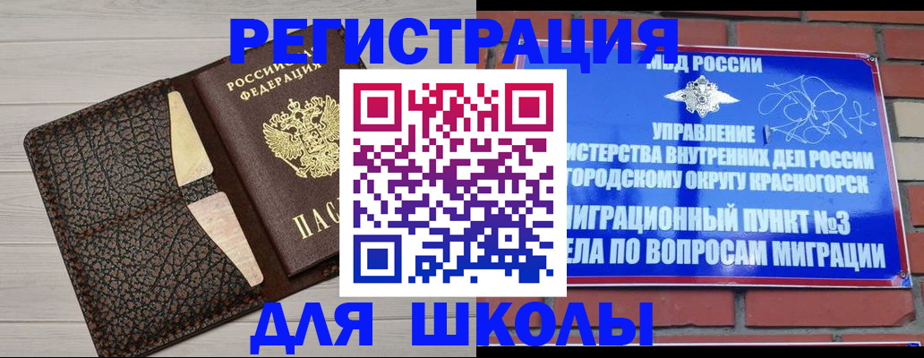прописка в Бологом
